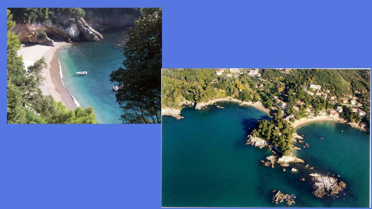 Casa Margherita * Lerici